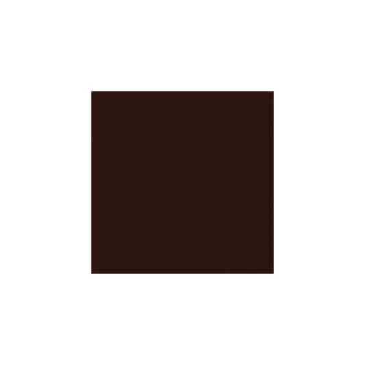 Spray Vopsea Profesional Champion 400ml - Maro Ciocolata Mat