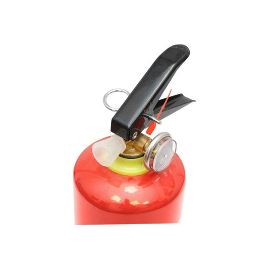 Stingator Auto Reincarcabil 1KG P1 - Cu Manometru