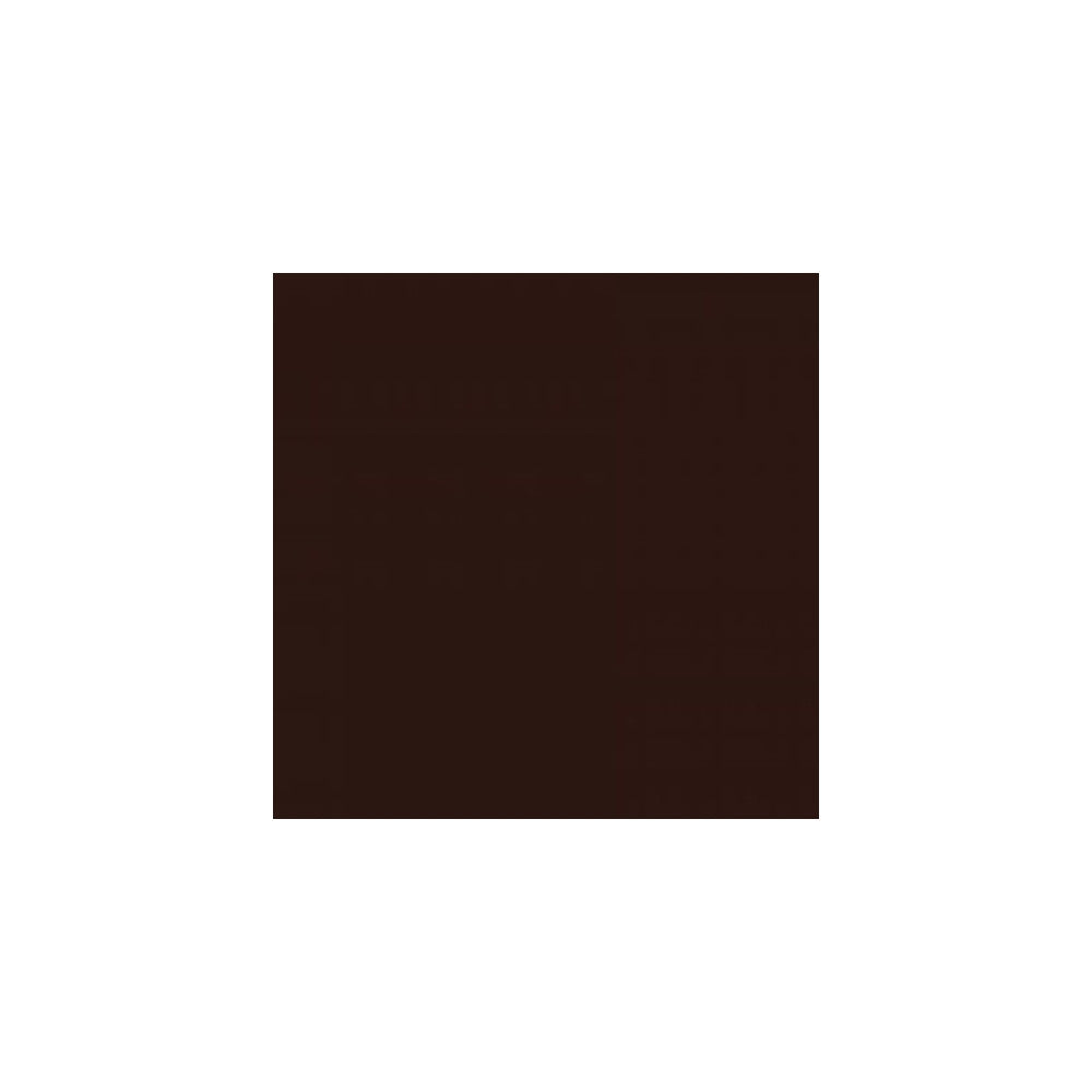 Spray Vopsea Profesional Champion 400ml - Maro Ciocolata Mat