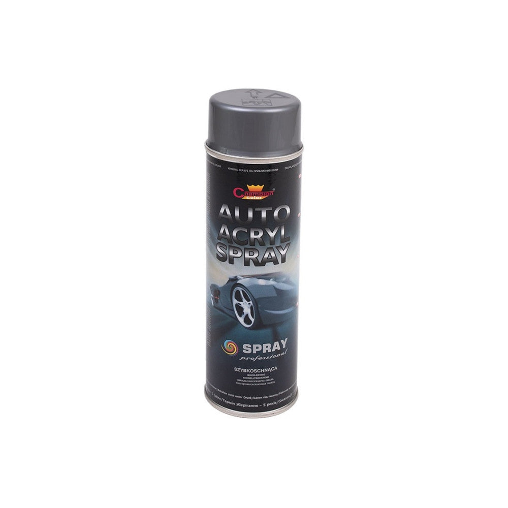 Spray Vopsea Profesional Champion 500ml - Argintiu