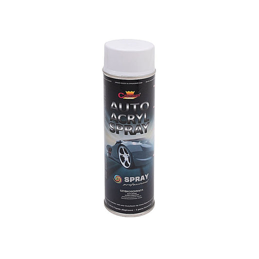 Spray Vopsea Profesional Champion 500ml - Alb Lucios Pur