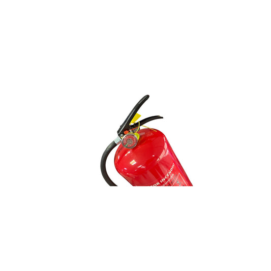 Stingator Auto Reincarcabil 6 KG - Cu Manometru