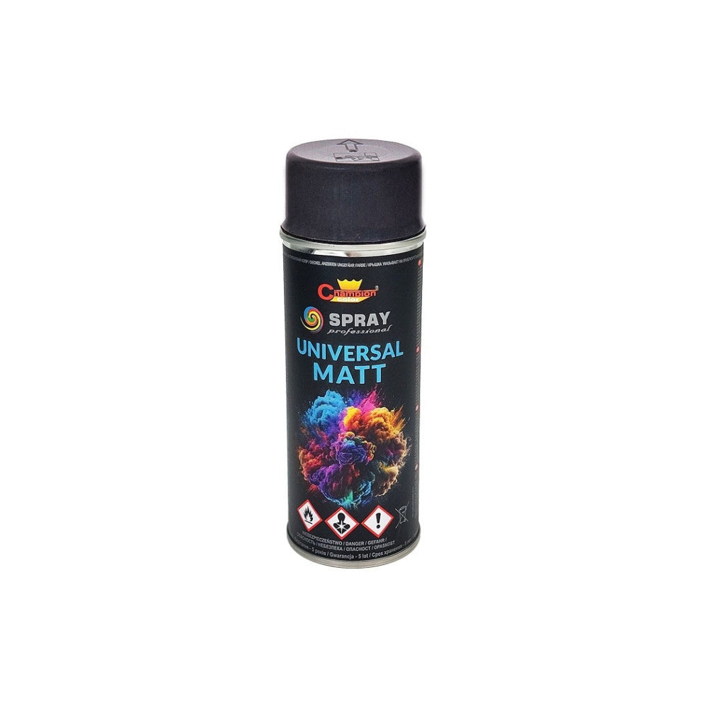 Spray Vopsea Profesional Champion 400ml - Gri Antracit Mat