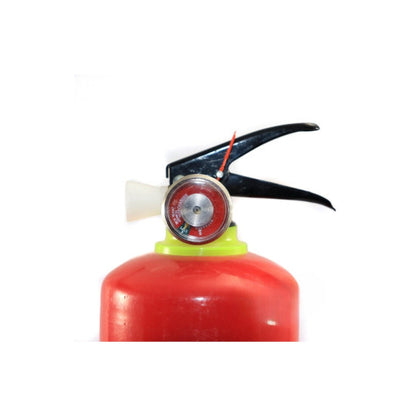 Stingator Auto Reincarcabil 1KG P1 - Cu Manometru